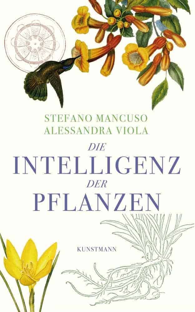 die-intelligenz-der-pflanzen